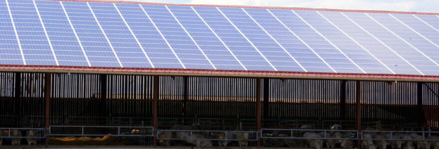 bâtiment solaire agricole